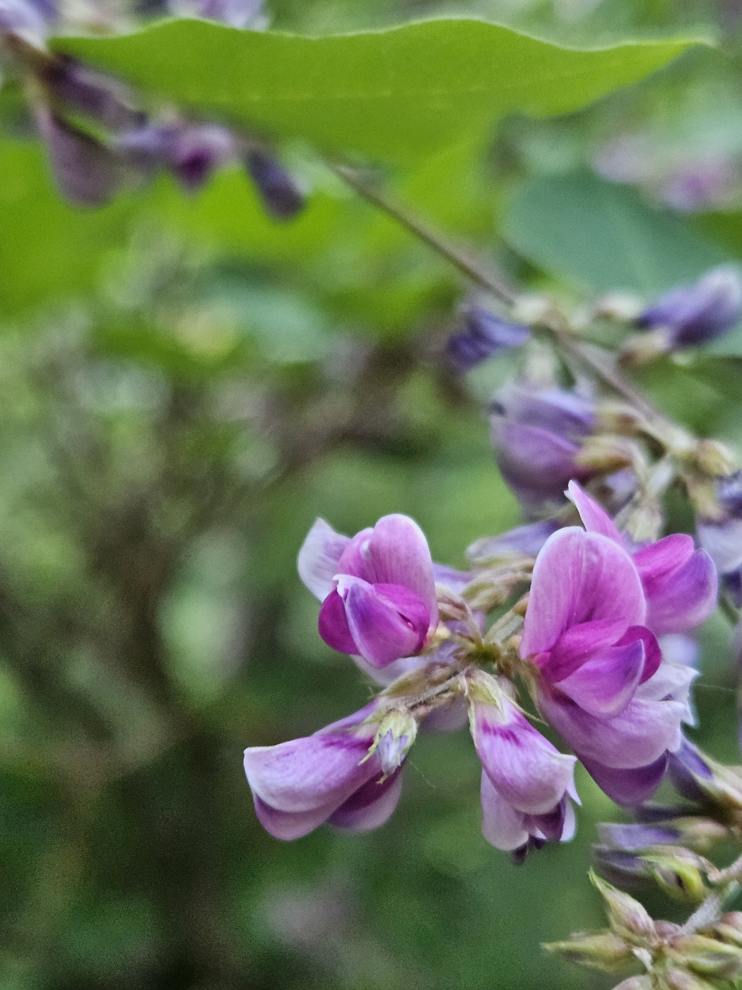 3c6d60138c0e38ee749d9467d59fe7ad_1719195050_4212.jpg