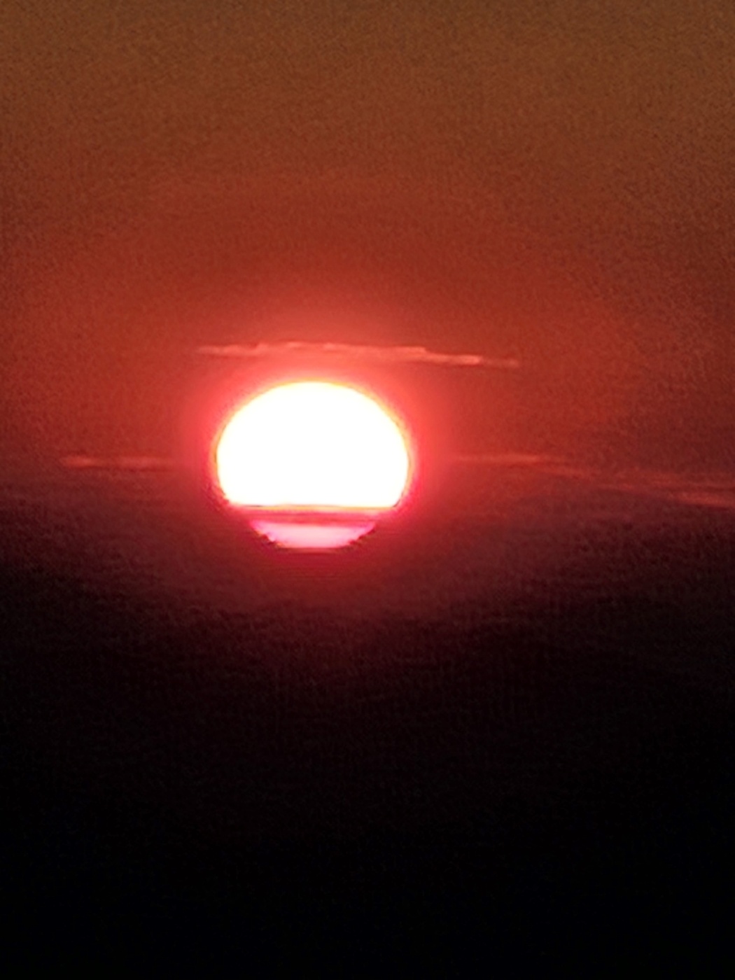 3c6d60138c0e38ee749d9467d59fe7ad_1719195051_7935.jpg